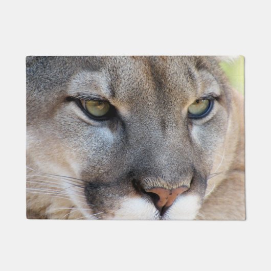 Cougar / Florida Panther / Puma - Doormat Fußmatte (Vorderseite)