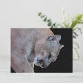 Cougar / Florida Panther / Puma-Flachkarte (Stehend Vorderseite)