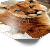 Cougar-Foto-Malerei Fotodruck (Ecke)