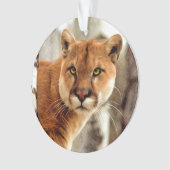 Cougar-Foto-Malerei Ornament (Vorderseite)
