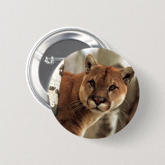 Cougar Fotograf Button (Vorne & Hinten)