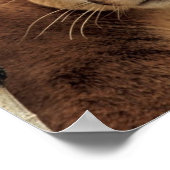 Cougar Fotograf Poster (Ecke)
