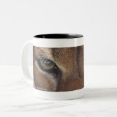 Cougar-Gebirgslöwe-Tasse Zweifarbige Tasse (Vorderseite Links)