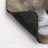 COUGAR Gesicht Augen Makro Katzen wild Mousepad (Ecke)