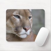 COUGAR Gesicht Augen Makro Katzen wild Mousepad (Mit Mouse)