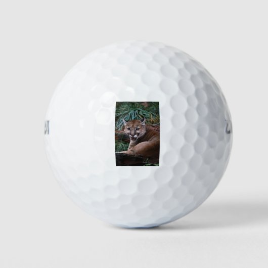 Cougar Golfball (Vorderseite)