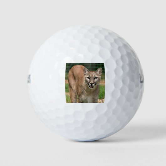 Cougar Golfball (Vorderseite)