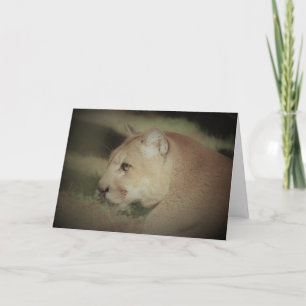 Cougar Greeting Card Feiertagskarte