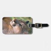 Cougar, Kalifornien Gepäckanhänger (Vorderseite horizontal)