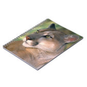 Cougar, Kalifornien Notizblock (Linke Seite)