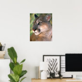 Cougar, Kalifornien Poster (Heimbüro)