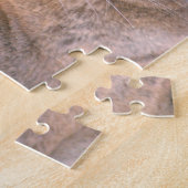 Cougar, Kalifornien Puzzle (Seite)