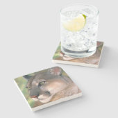 Cougar, Kalifornien Steinuntersetzer (Seitenansicht)