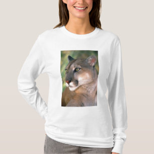 Cougar, Kalifornien T-Shirt