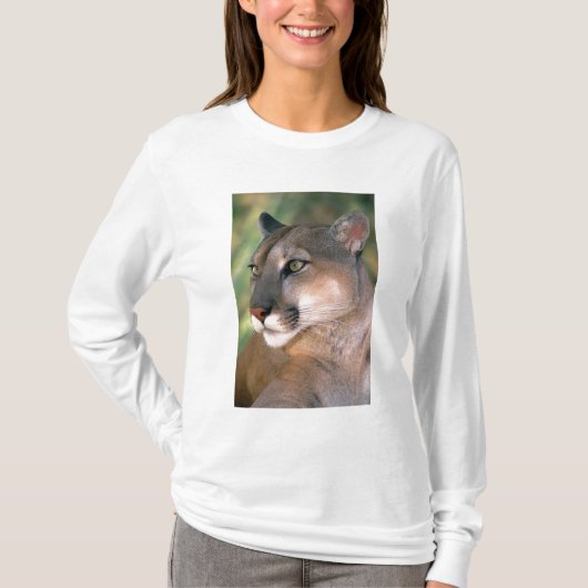 Cougar, Kalifornien T-Shirt (Vorderseite)