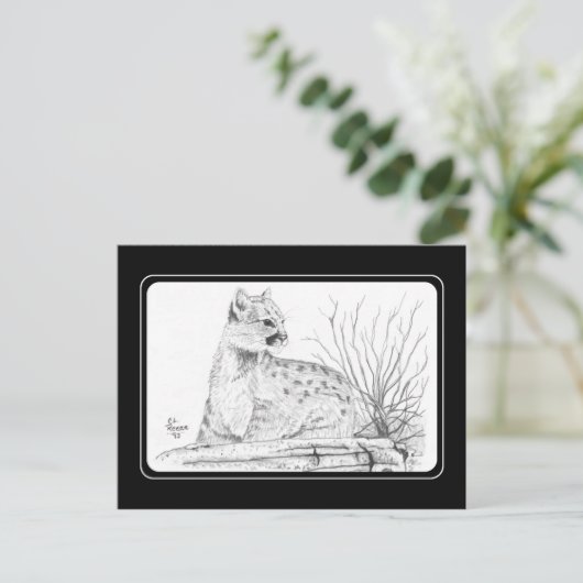 Cougar Kitten Postcard Postkarte (Stehend Vorderseite)