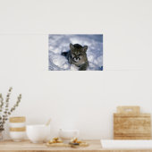 Cougar-kleiner Schnee Poster (Küche)