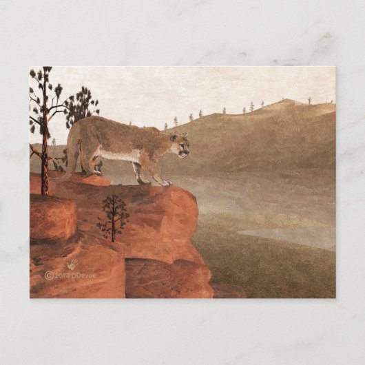 Cougar - Konzentration Postkarte (Vorderseite)