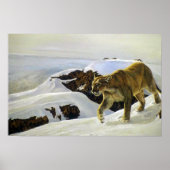 Cougar-Land Poster (Vorne)