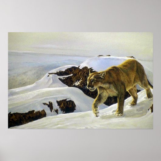 Cougar-Land Poster (Vorne)