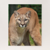Cougar Lion Jigsaw Puzzle (Vertikal)
