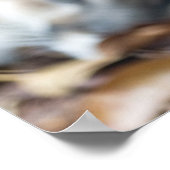 Cougar, Löwe, Panther Florida, Puma 2 Poster (Ecke)