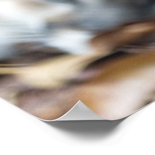 Cougar, Löwe, Panther Florida, Puma 2 Poster (Ecke)