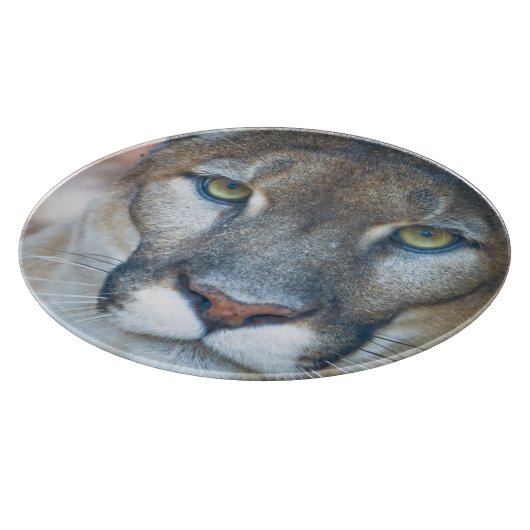 Cougar, Löwe, Panther Florida, Puma 2 Schneidebrett (Ecke)