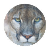 Cougar, Löwe, Panther Florida, Puma 2 Schneidebrett (Vorderseite)