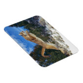 Cougar Magnet (Rechte Seite)
