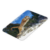 Cougar Magnet (Linke Seite)