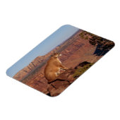 Cougar Magnet (Linke Seite)