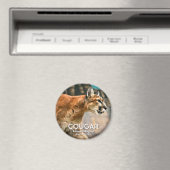 Cougar Magnet (In Situ (Geschirrspüler))