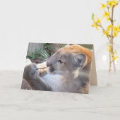 Cougar mit Stick Grußkarte Karte (Gelbe Blume)
