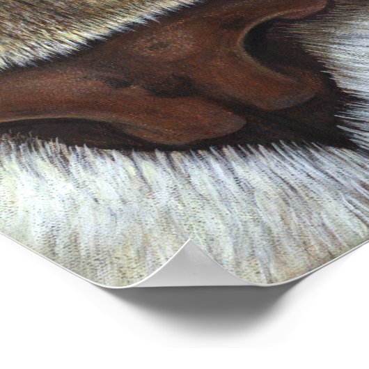 Cougar Mountain Lion Face Poster (Ecke)