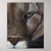 Cougar Mountain Lion Face Poster (Vorne)