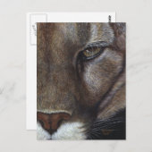 Cougar Mountain Lion Face Postkarte (Vorne/Hinten)