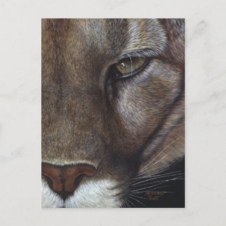 Cougar Mountain Lion Face Postkarte