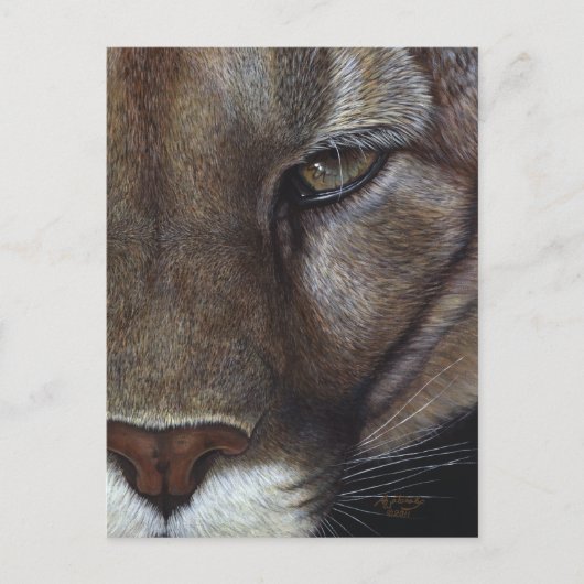 Cougar Mountain Lion Face Postkarte (Vorderseite)