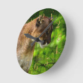 Cougar Mountain Lion & Pine Branches Wildlife Runde Wanduhr (Winkel)