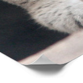 Cougar Mountain Lion Portrait Nah-Up Poster (Ecke)