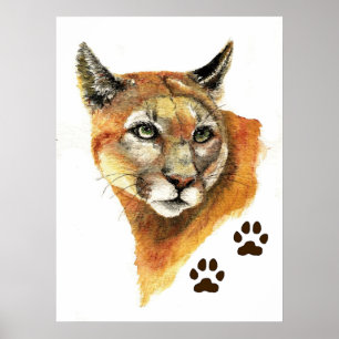 Cougar Mountain Lion Print Poster
