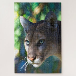 Cougar Mountain Lion. Puzzle