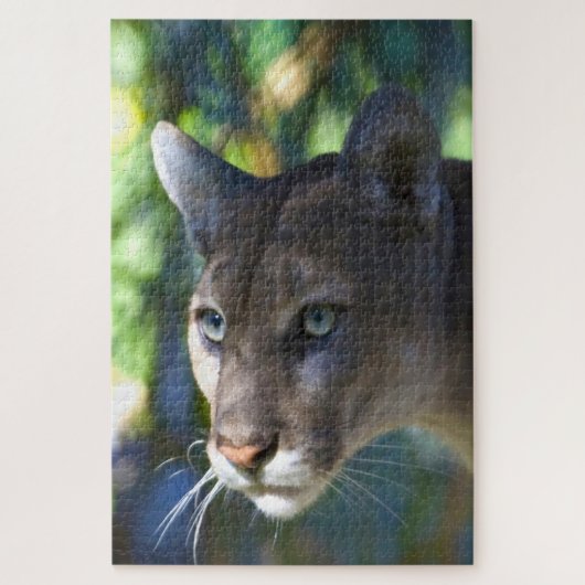 Cougar Mountain Lion. Puzzle (Vertikal)
