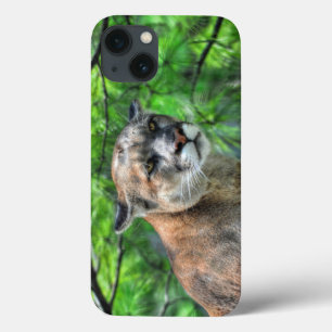Cougar Mountain Lion & Summer Pines Case-Mate iPhone Hülle