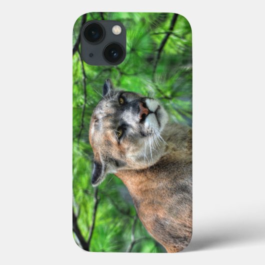 Cougar Mountain Lion & Summer Pines Case-Mate iPhone Hülle (Rückseite)