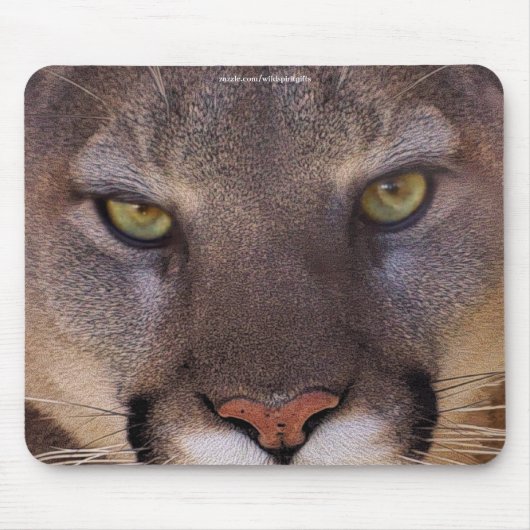 COUGAR Mountain Lion Wildlife Mousepad (Vorne)