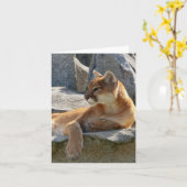 Cougar-nahes hohes karte (Gelbe Blume)