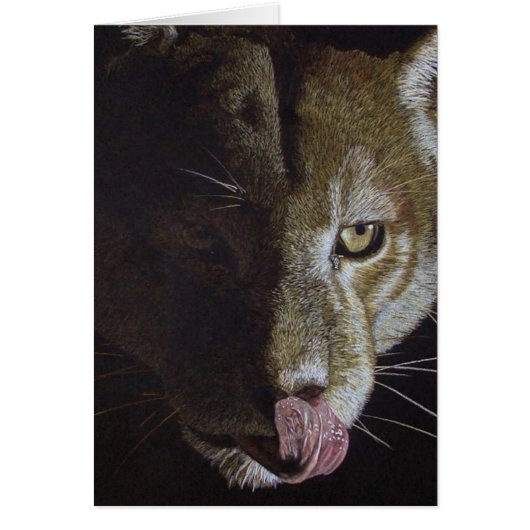 Cougar Night (Vorne)