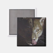 Cougar Night Magnet (Vorderseite/Rückseite)